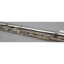 Trevor James 5X Student Flute Outfit Flutes