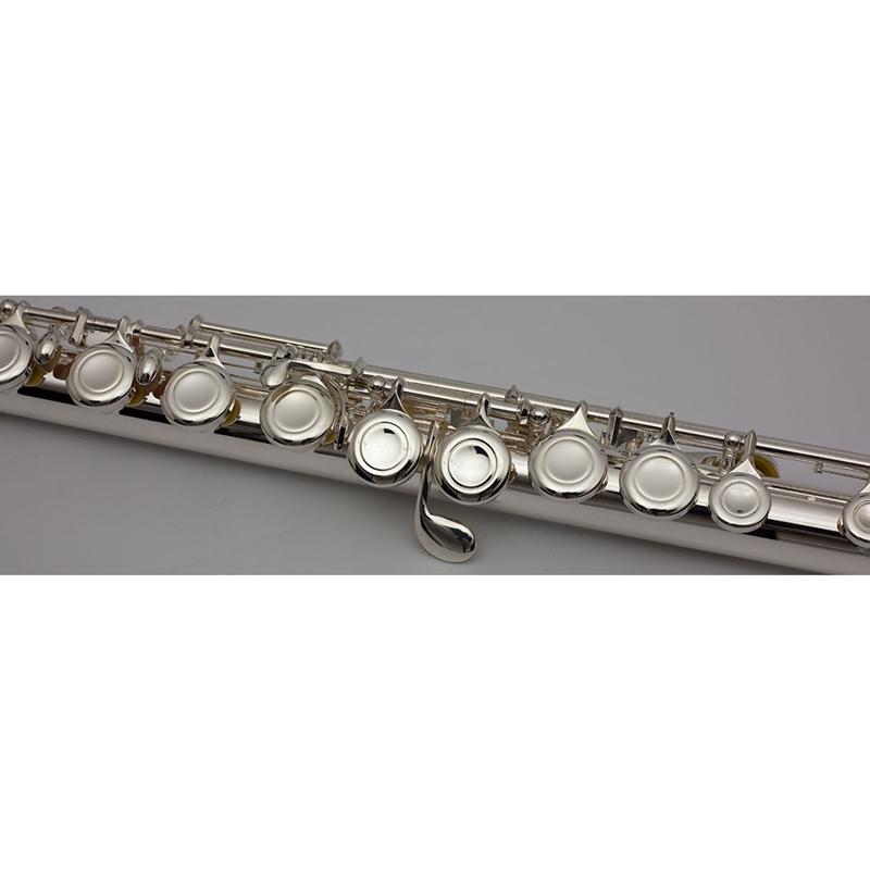 Trevor James 5X Student Flute Outfit Flutes