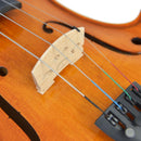 Forenza Prima 2 Viola Outfit - 16 Inch Violas