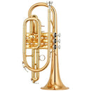 Yamaha YCR4330GII Bb Intermediate Cornet in Lacquer Cornets and Trumpets