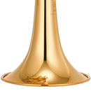 Yamaha YTR4335GII Bb Intermediate Trumpet in Lacquer Cornets and Trumpets