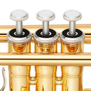 Yamaha YTR4335GII Bb Intermediate Trumpet in Lacquer Cornets and Trumpets
