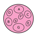 Jumbie Jam Table Top Steel Pan - Pink Tuned Percussion