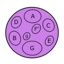 Jumbie Jam Table Top Steel Pan - Purple Tuned Percussion