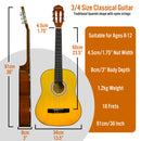 XF 3/4 Size Classical Guitar Pack Natural Classical Guitars