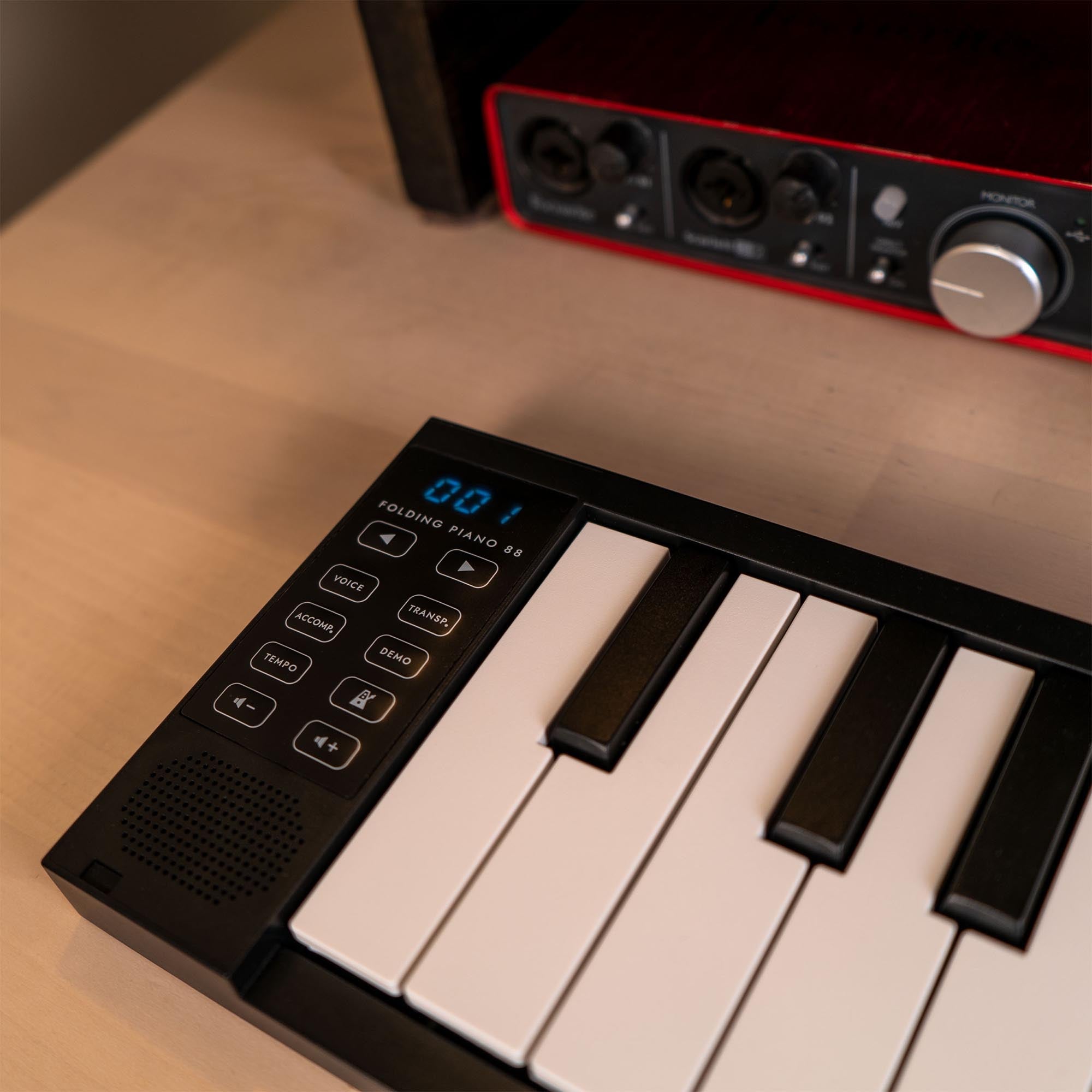 Carry-On 88 Key Folding Piano - Black#Colour_Black